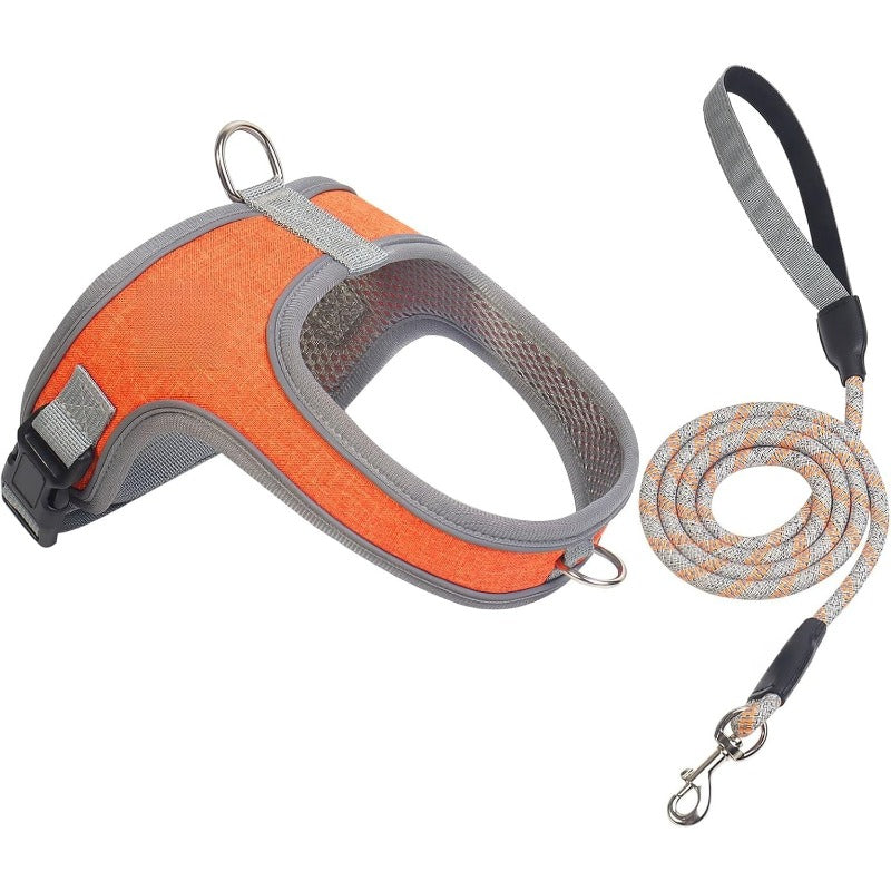 PawEase – Breathable Dog Harness Set