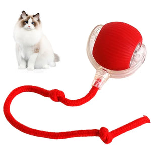 PetPlay - Smart Interactive Pet Toy Ball