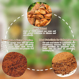 CocoBloom – Organic Coconut Coir Bricks for Healthy Plant Growth