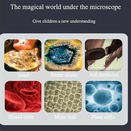 TinyVision – Portable Science Microscope