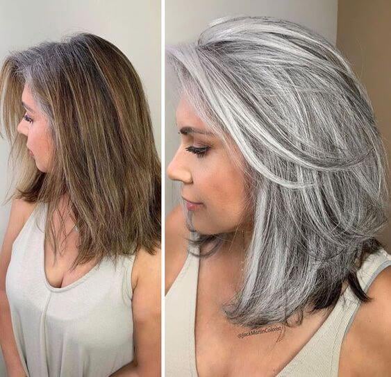 Silvique | Platinum Gray Shine Hair Dye