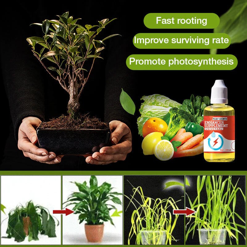 GrowBoost – Advanced Plant Growth Enhancer
