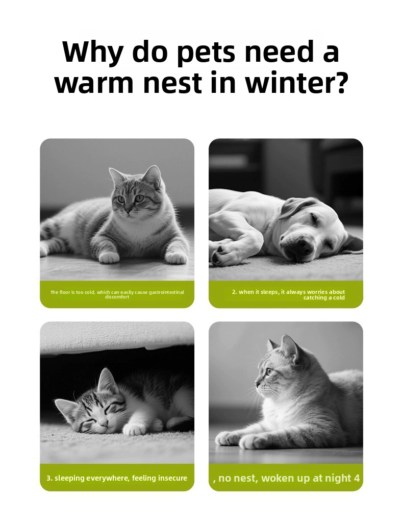 RenewMate  2-in-1 Reusable Comfort Kit
