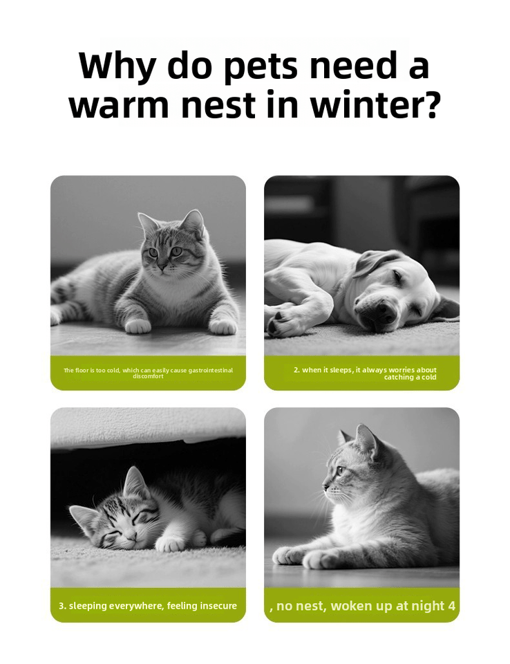 RenewMate  2-in-1 Reusable Comfort Kit