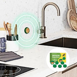 InsectoStop – Fast Acting Roach Control