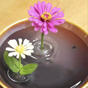 FloraFloat – Creative Floating Floral Arrangement Holder