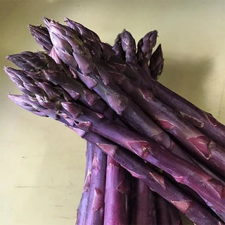 GardenPro – Perennial Tender Asparagus Seeds