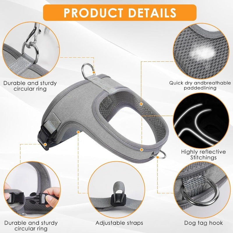 PawEase – Breathable Dog Harness Set