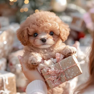 RoboPuppy – Realistic Robot Puppy