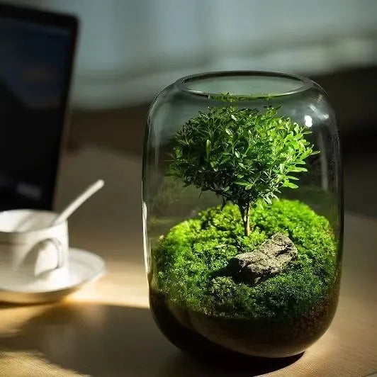 LushVista - Moss Landscape Display