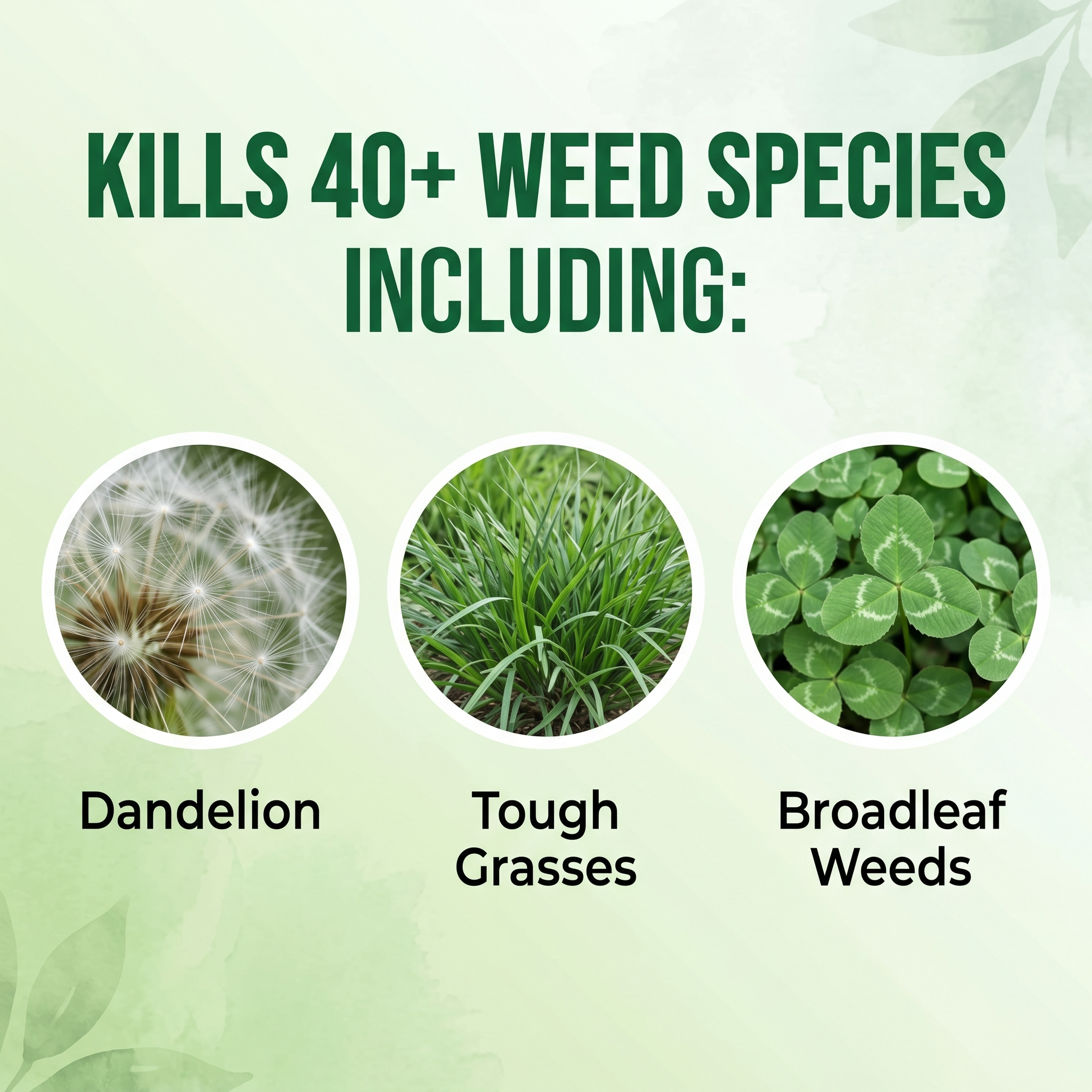 GreenShield – Advanced Weed Control Herbicide Formula