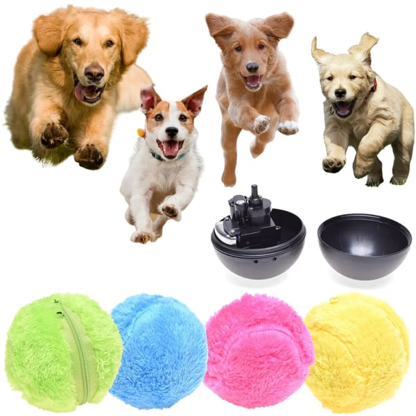 SpinFit – Active Rolling Ball
