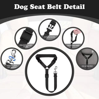 TravelPaws – Adjustable Dog Travel Safety Leash System