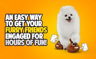 SqueezeBoo – Poop Plush Gag Toy