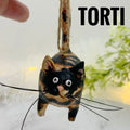 TORTI