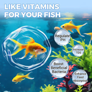 AquaPure – Water Purification Tablets