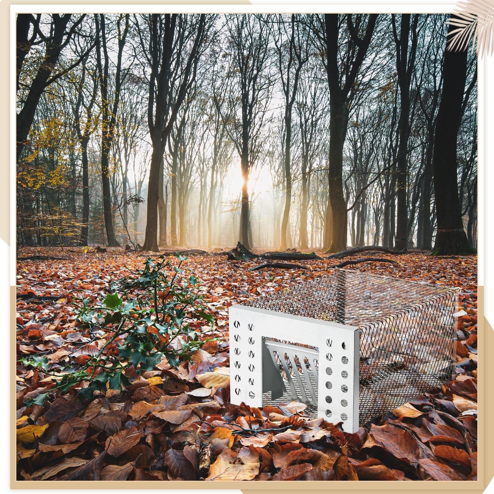 SafeCatch – Humane Live Mouse Trap