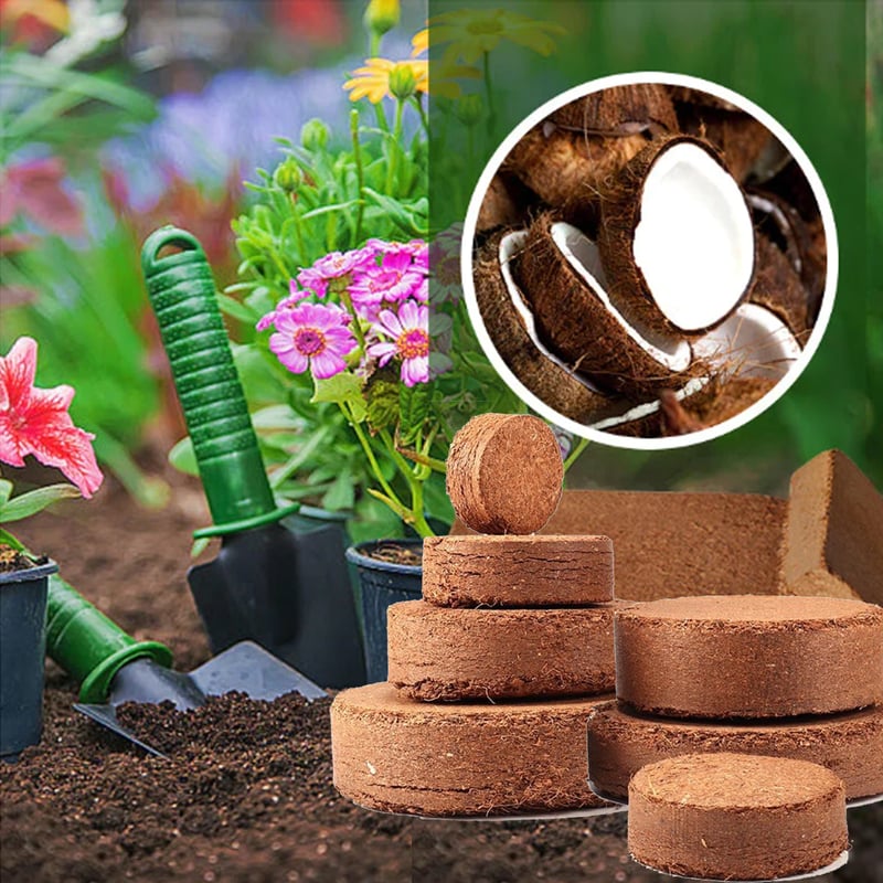 CocoBloom – Organic Coconut Coir Bricks for Healthy Plant Growth