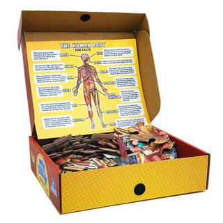 Human Anatomy Puzzle for Kids