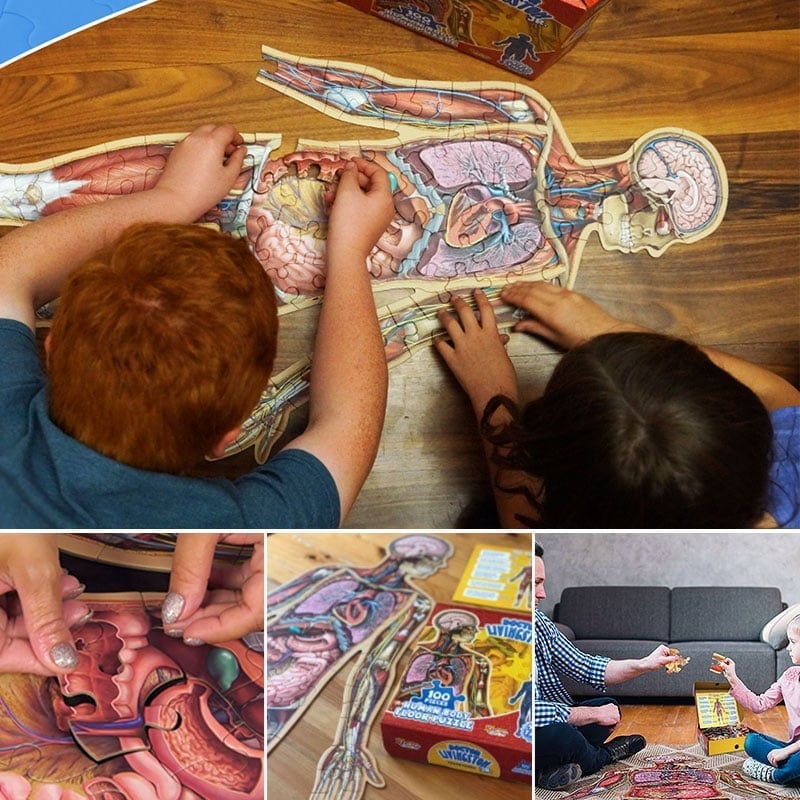Human Anatomy Puzzle for Kids