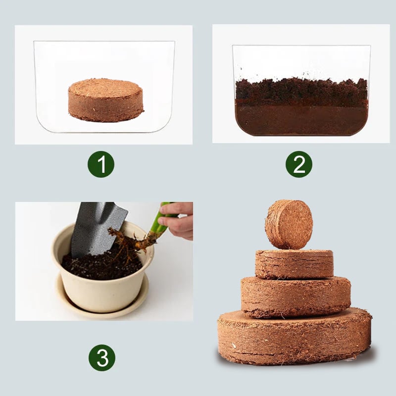 CocoBloom – Organic Coconut Coir Bricks for Healthy Plant Growth