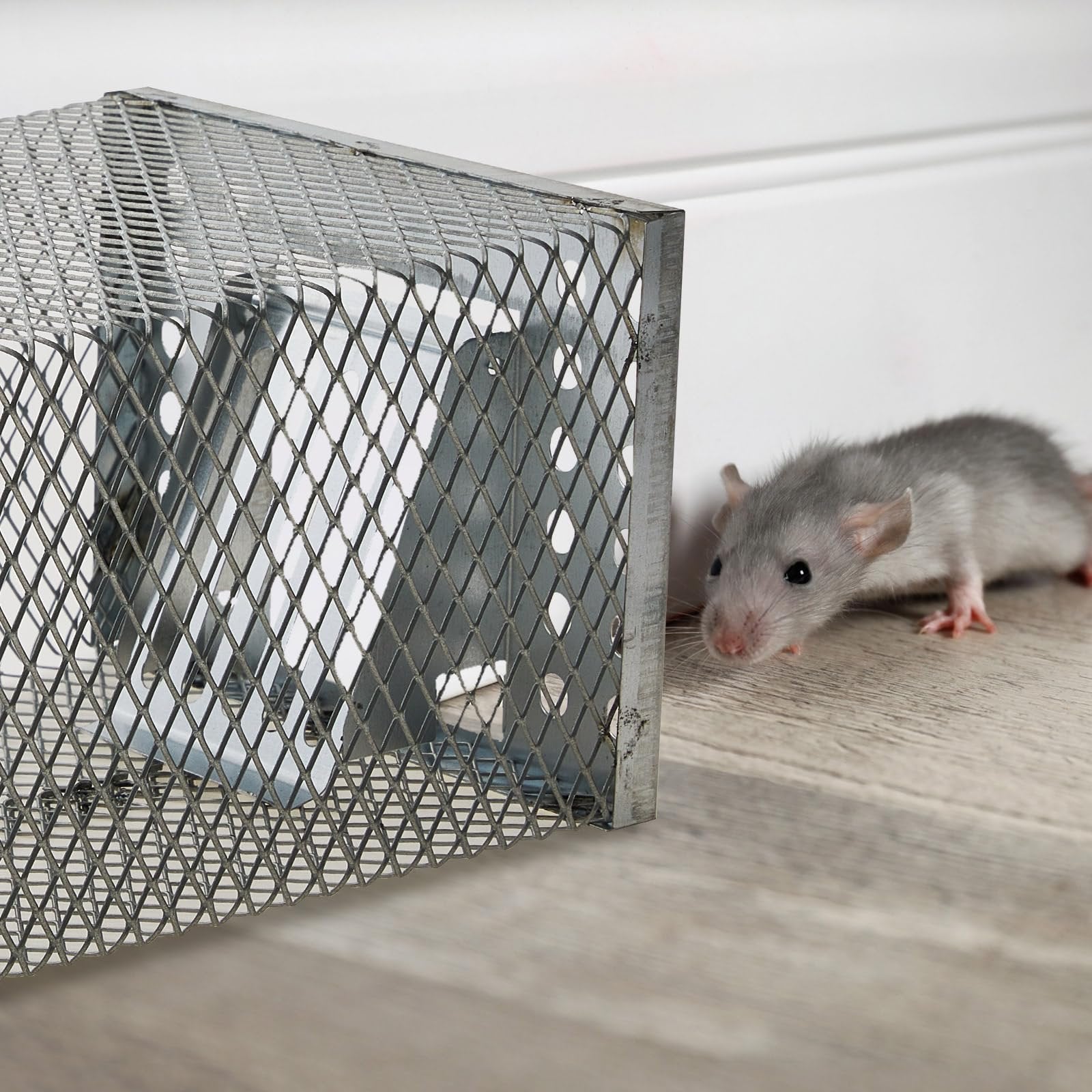 SafeCatch – Humane Live Mouse Trap