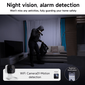 TrueVision – Crystal Clear Security Camera with Smart Alerts
