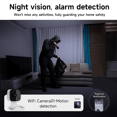 TrueVision – Crystal Clear Security Camera with Smart Alerts