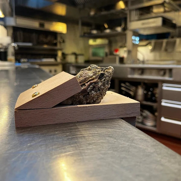 SureGrip Oyster Shucking Clamp marnetic