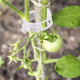 Plant Support Clips marnetic