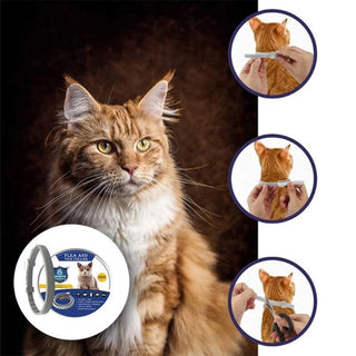 PetArmor - Long-Term Flea & Tick Safety Collar