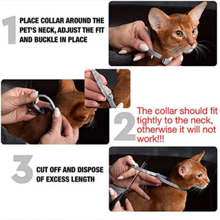 PetArmor - Long-Term Flea & Tick Safety Collar