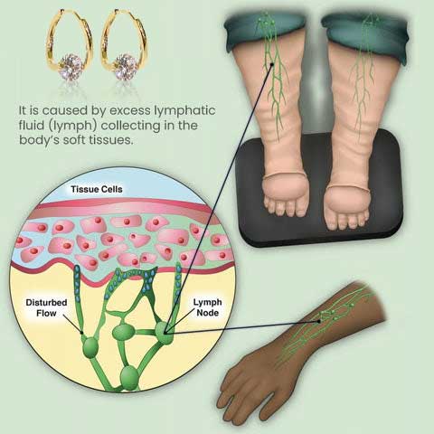 VitalFlow - Germanium Earrings