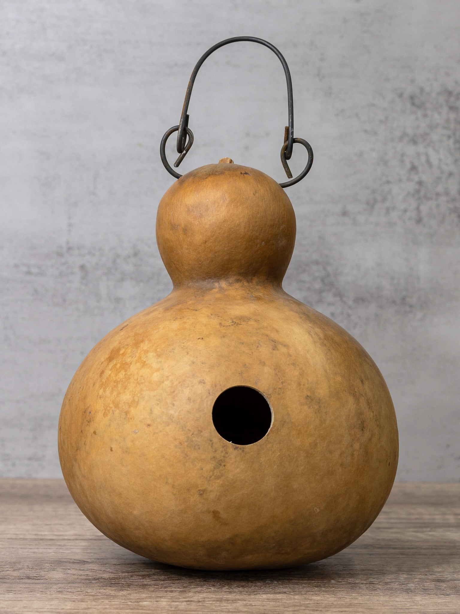 BirdHaven – Natural Gourd Birdhouse Set