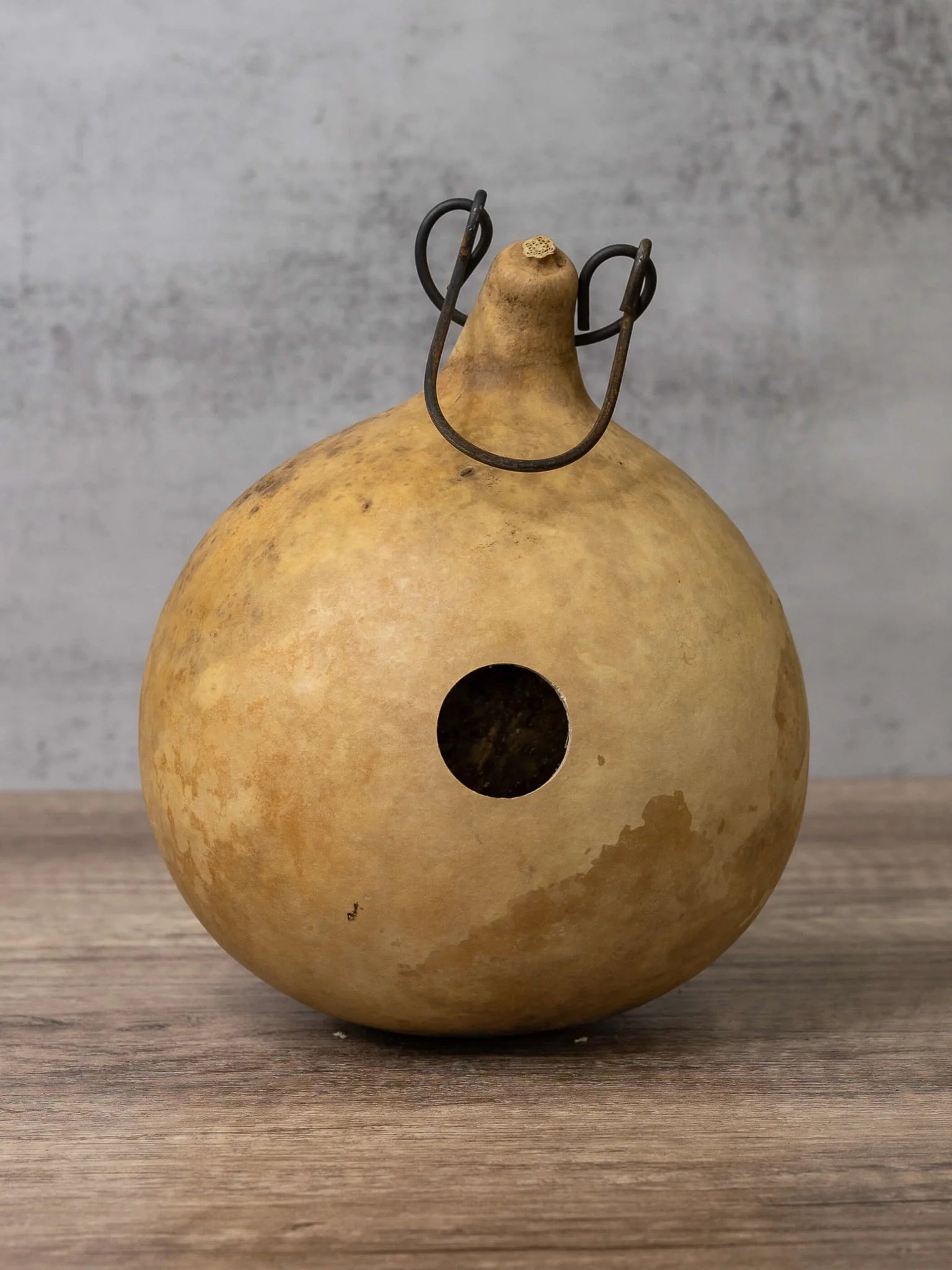 BirdHaven – Natural Gourd Birdhouse Set