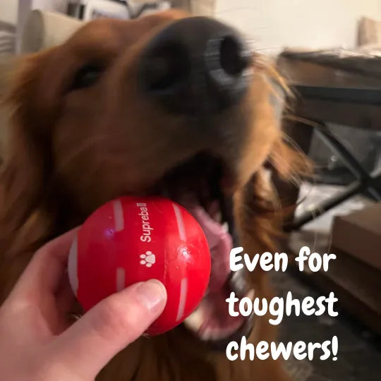 BounceRush – The Interactive Fun Chewie Ball