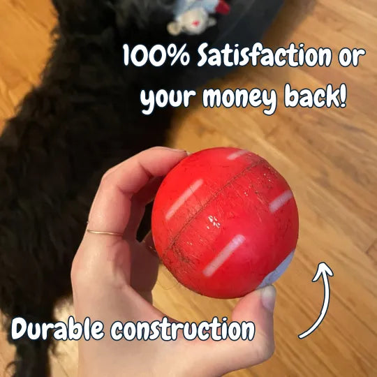 BounceRush – The Interactive Fun Chewie Ball