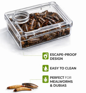 TerraLock – Premium Anti-Escape Reptile Feeding Dish