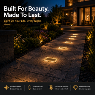 WalkLume – Premium Solar Paver Pathway Lighting