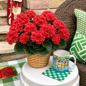 EverBloom – Artificial Geranium Outdoor Flowers