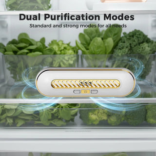 PureChill – Portable Refrigerator Freshness Purifier