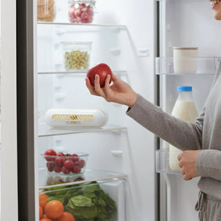 PureChill – Portable Refrigerator Freshness Purifier