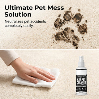SpotLift – Carpet & Upholstery Clean Spray