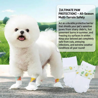 PawShield – Waterproof Disposable Paw Protection Booties