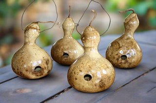 BirdHaven – Natural Gourd Birdhouse Set