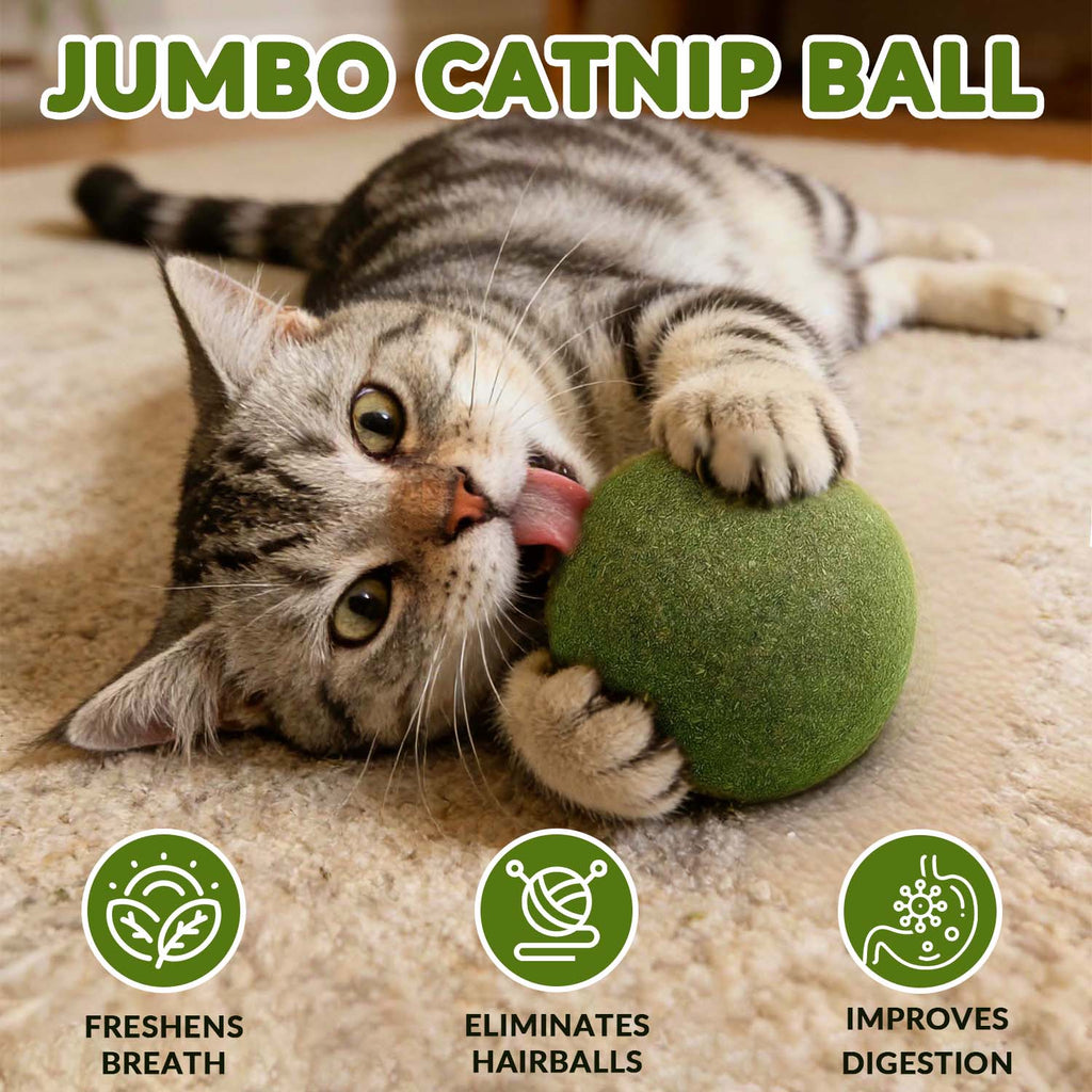 MegaMeow – Giant Catnip Ball