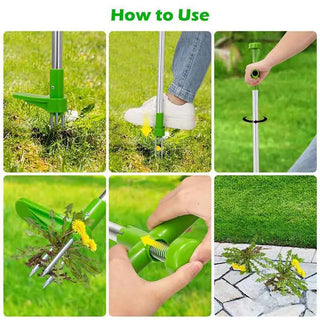 Root Remover Tool marnetic