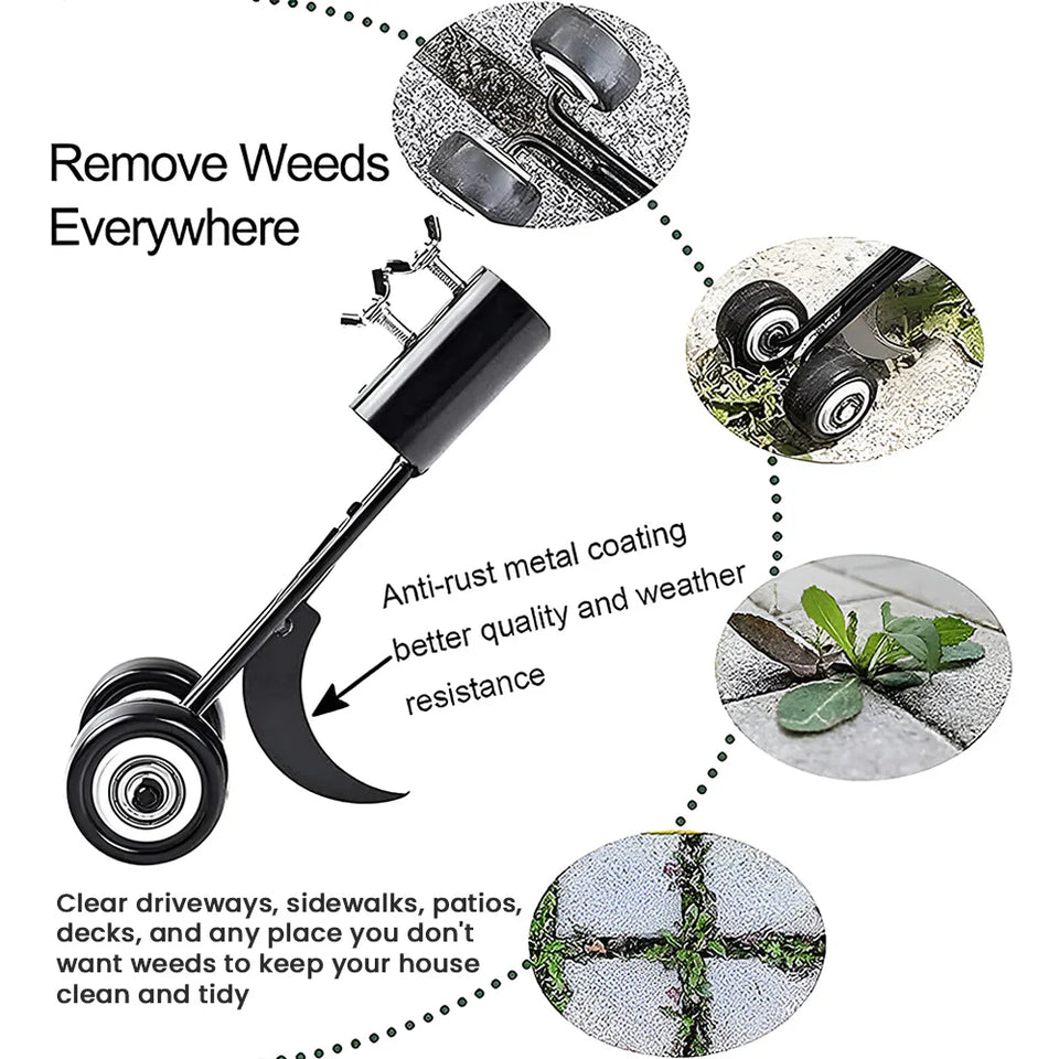 GreenBane – Driveway Weed Destroyer