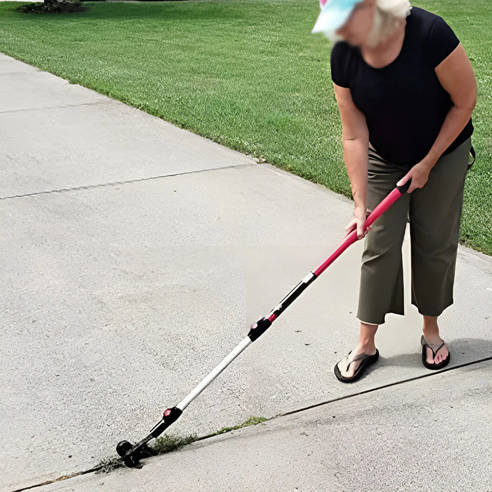 GreenBane – Driveway Weed Destroyer