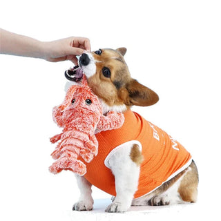 FurJoy – Smart Interactive Dog Entertainment Toy
